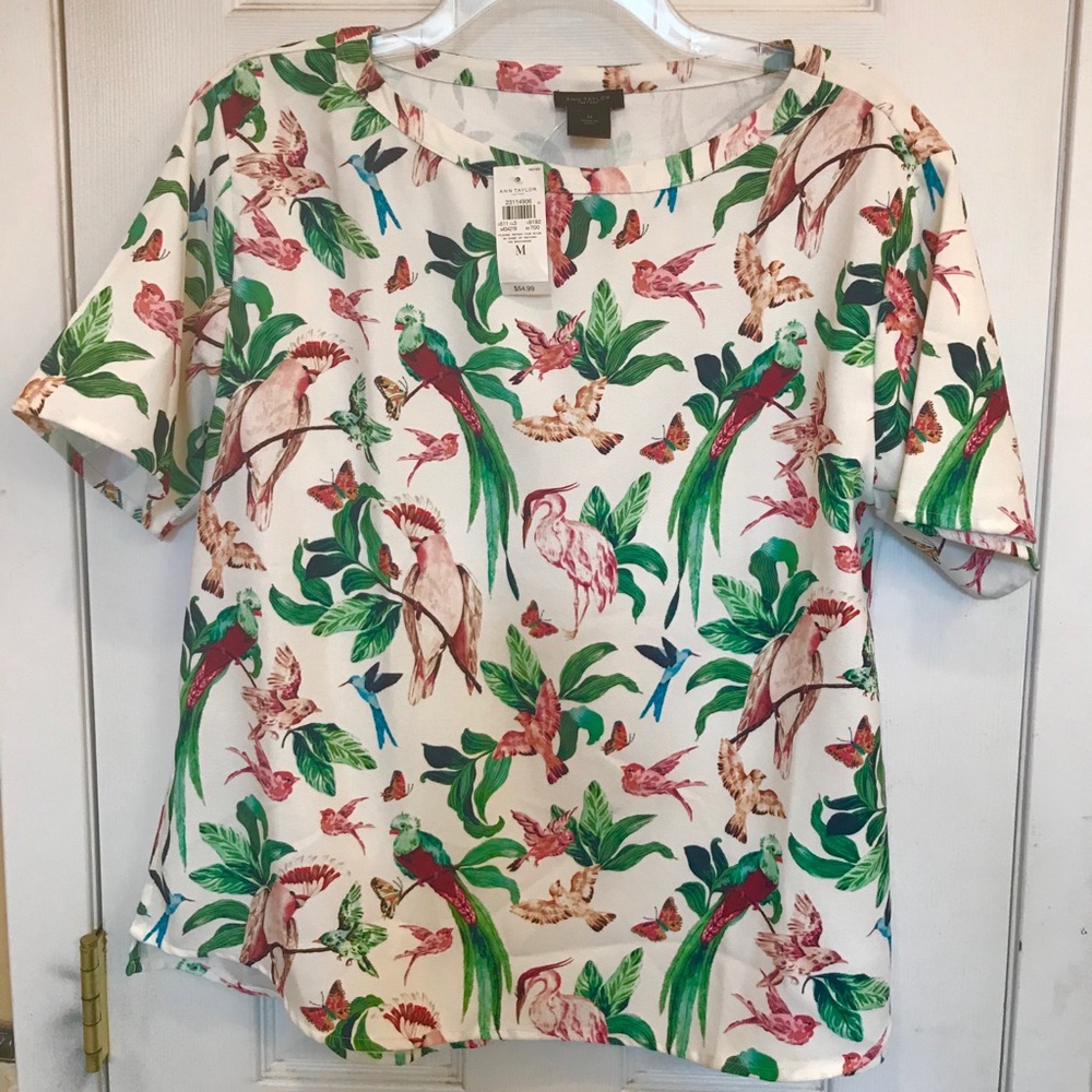 Elegant Ann Taylor Birds Of Pardise top